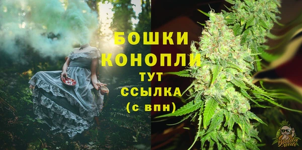 mdpv Елизово