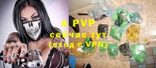 mdpv Елизово