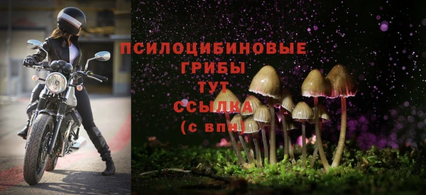 первитин Елабуга