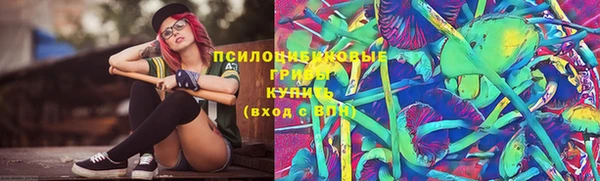 mdpv Елизово