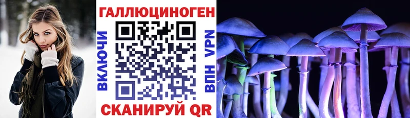 Галлюциногенные грибы MAGIC MUSHROOMS  Купить где  Белинский 